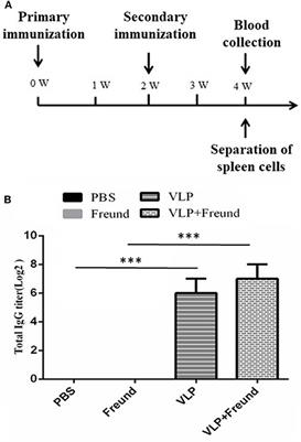 Immunogenicity Assessment of Rift Valley Fever Virus Virus-Like Particles in BALB/c Mice